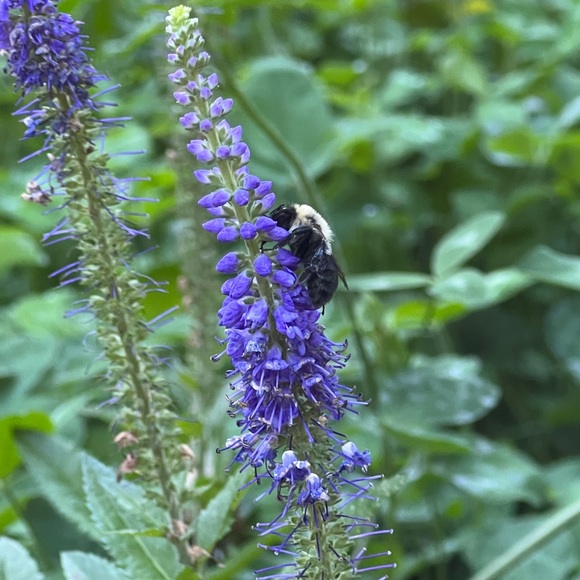 Meet your Poshers, Tracy and Taifa - Picture 13 of 14